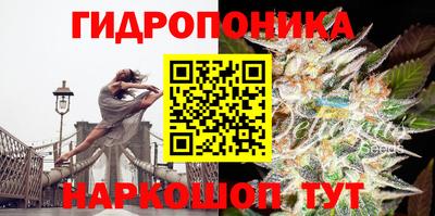 СК Заволжье