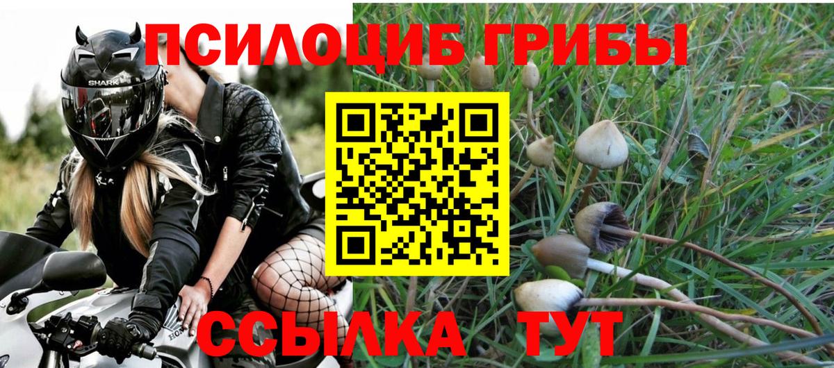 где купить наркоту  Вход с VPN  Псилоцибиновые грибы MAGIC MUSHROOMS  Кохма  Галлюциногенные грибы GOLDEN TEACHER 